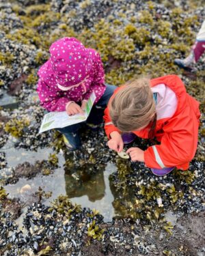 Outdoor Explorers 2026: Assigned-Day Summer Camp Registration